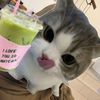 syhir_4