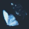 aurora00evinar00