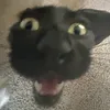 wardtnt6