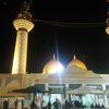 syed4543445