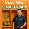 vuamitsongthuan