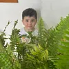 om.emad2022