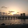 malakmahmoud.664