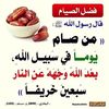 user88385433729981