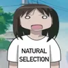 irllaw