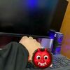 xsad019