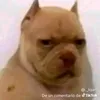 elwedelastortillas3
