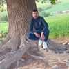 ali.bl8