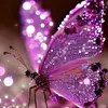 mouna_mouna1271