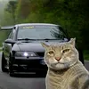 yrzim7