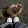 rahaf_313_0