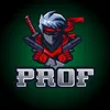 prof_ff_