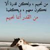 user17204456351824