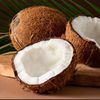 coconut1136