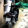 hoa.bnh276