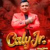 calyjroficial