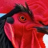 CHICKEN FARM