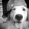 yippeeeee.de