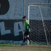 tomy.marinucci