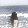 ka_1258