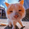 Pet_funnylover27