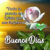 luky.arona