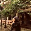 tonny.prodhan8