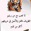 user77101102549453