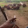 ___taufikcaturharjo___