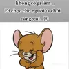thangtroc360