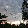arpan02_1