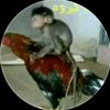 cristopher.damian41