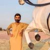 jadeed.khan804