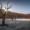 traveltoafrica6