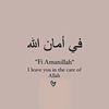 skon_mtlb_ap26