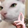 chubindeptraiko5