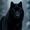 blackwolf3797