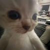 justgirl_48