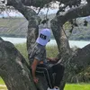 nicolas.amuy