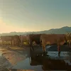 lynnn_525