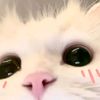 its_hanni001