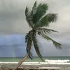 lei.lei522