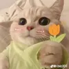 truongcuc_2203