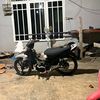 alvin_a488