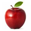 apple_stupid