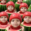 txm__wok