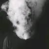 fant_kr8