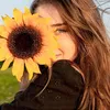 meno_147