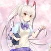 ayukichan501