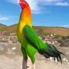 redoune.elhamdoui